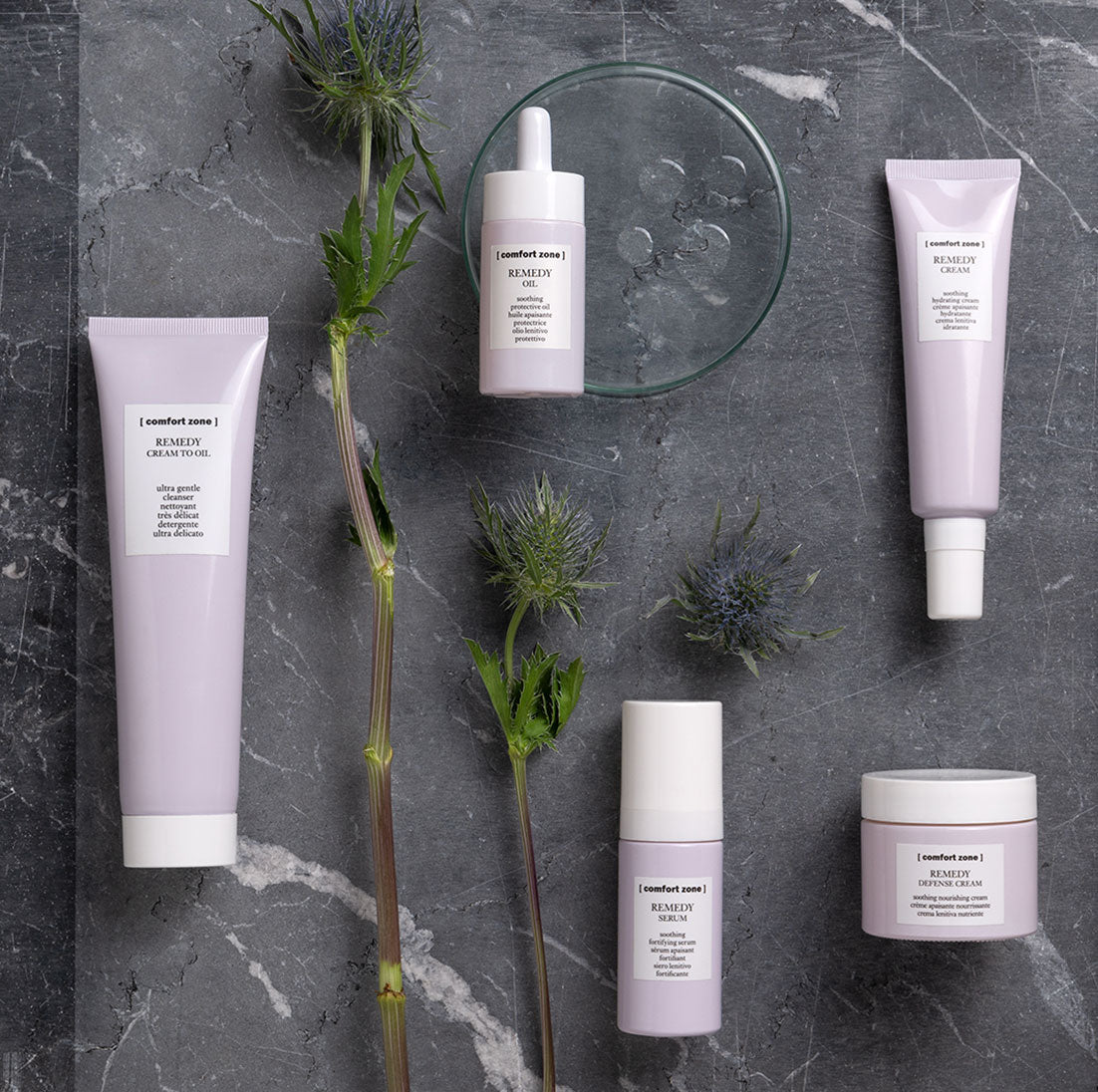 Comfort Zone produkt kursus